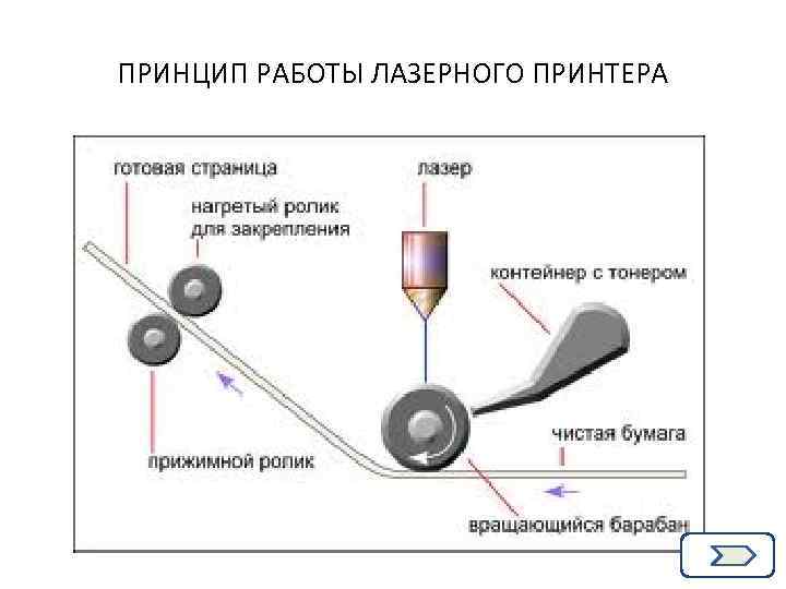 Структурная схема лазерного принтера