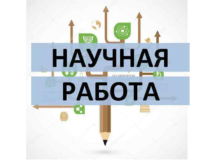 НАУЧНАЯ РАБОТА 