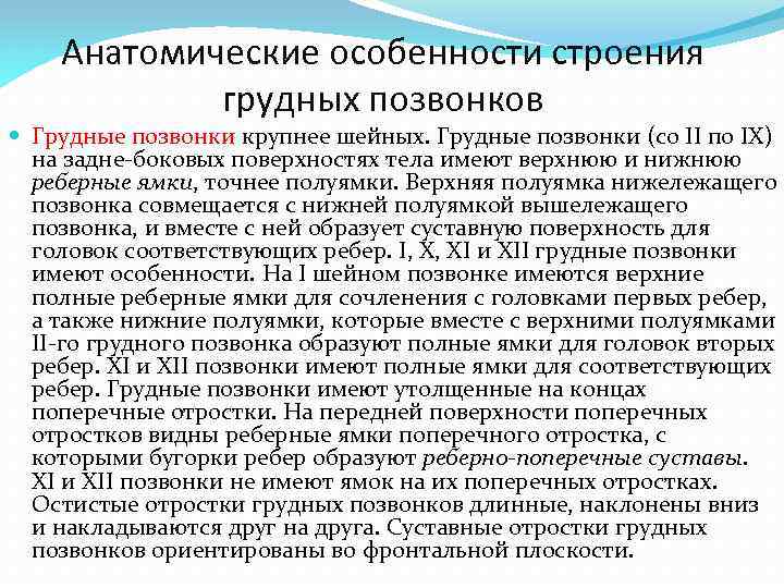 Анатомические особенности строения грудных позвонков Грудные позвонки крупнее шейных. Грудные позвонки (со II по