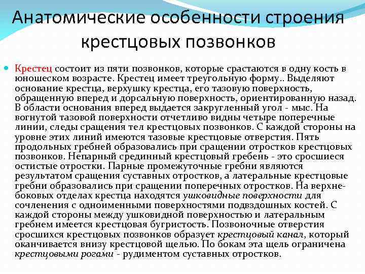 Анатомические особенности строения крестцовых позвонков Крестец состоит из пяти позвонков, которые срастаются в одну