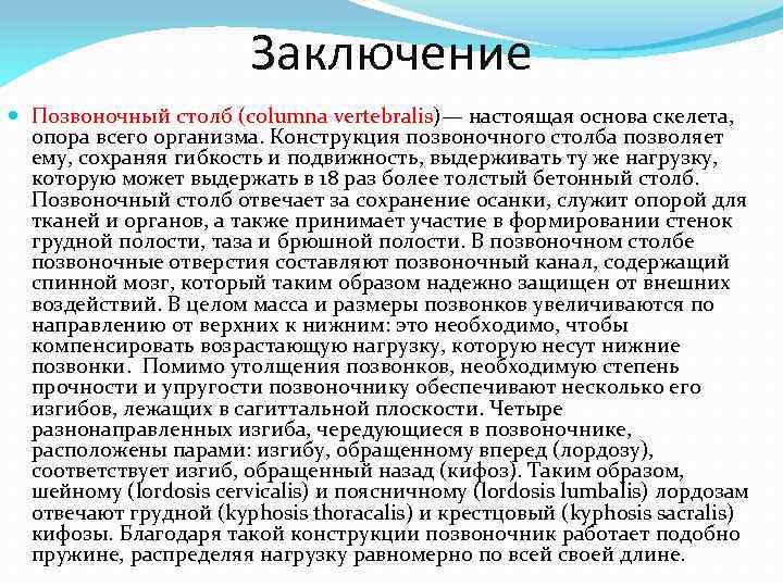 Заключение Позвоночный столб (columna vertebralis)— настоящая основа скелета, опора всего организма. Конструкция позвоночного столба