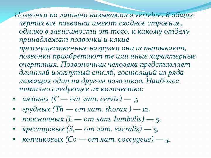  Позвонки по латыни называются vertebre. В общих чертах все позвонки имеют сходное строение,