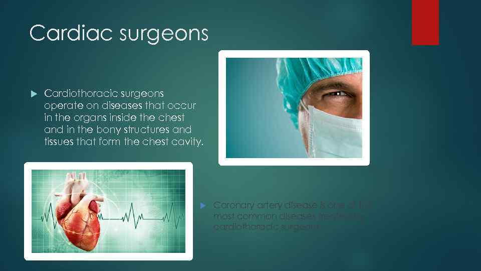 Cardiac surgeons Cardiothoracic surgeons operate on diseases that occur in the organs inside the