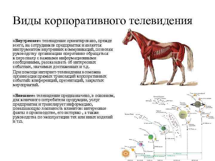 Виды корпоративного телевидения «Внутреннее» телевидение ориентировано, прежде всего, на сотрудников предприятия и является инструментом