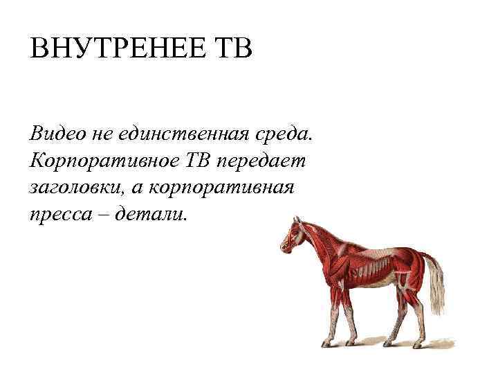 ВНУТРЕНЕЕ ТВ Видео не единственная среда. Корпоративное ТВ передает заголовки, а корпоративная пресса –