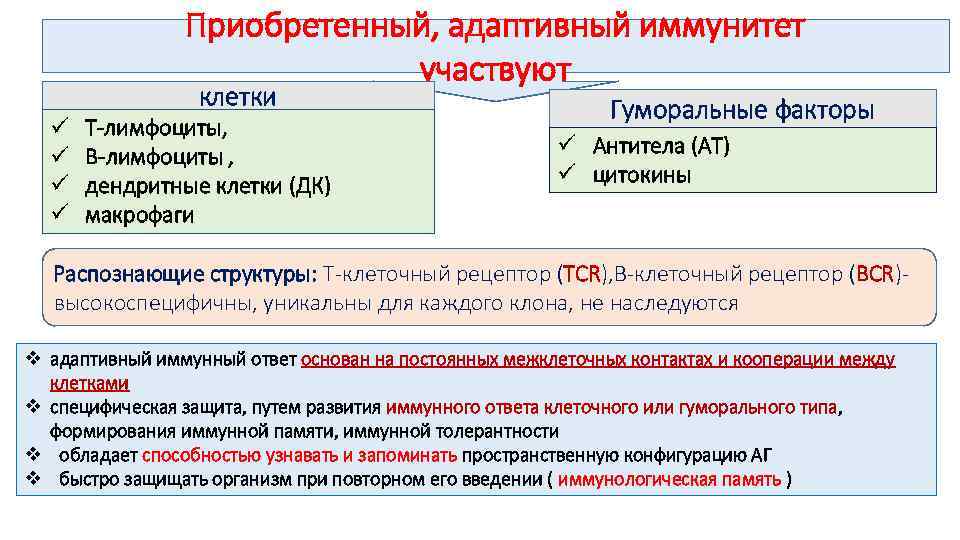 Основы иммунологии презентация