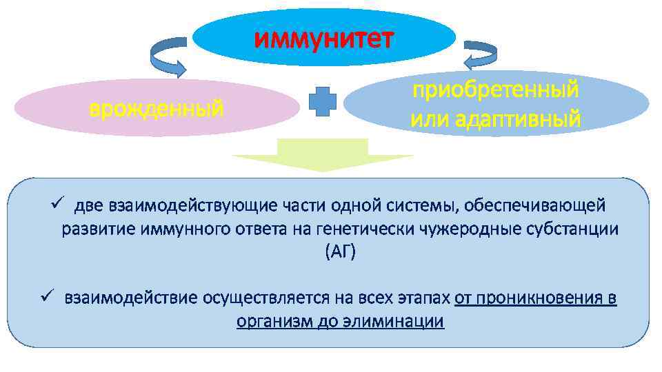 Основы иммунологии презентация