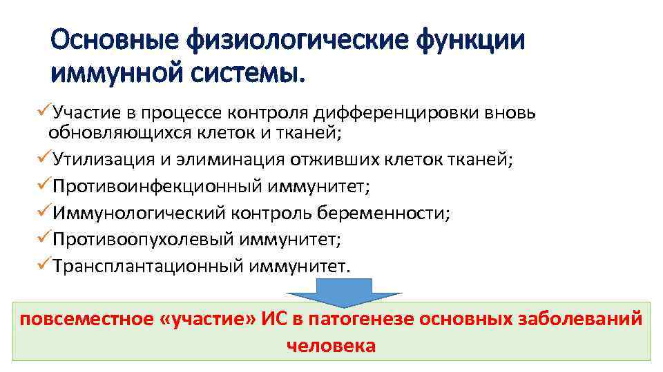 Основные физиологические функции иммунной системы. üУчастие в процессе контроля дифференцировки вновь обновляющихся клеток и
