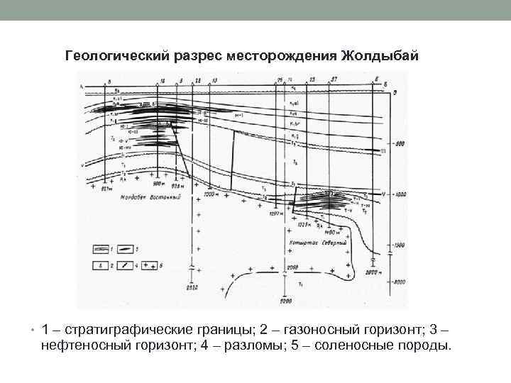 Геологический разрес месторождения Жолдыбай • 1 – стратиграфические границы; 2 – газоносный горизонт; 3