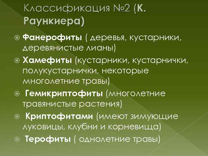 Классификация № 2 (К. Раункиера) Фанерофиты ( деревья, кустарники, деревянистые лианы) Хамефиты (кустарники, кустарнички,