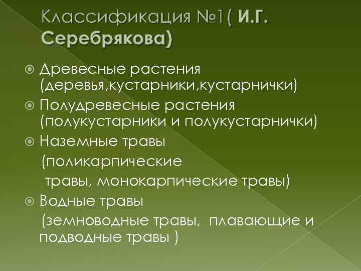 Классификация № 1( И. Г. Серебрякова) Древесные растения (деревья, кустарники, кустарнички) Полудревесные растения (полукустарники