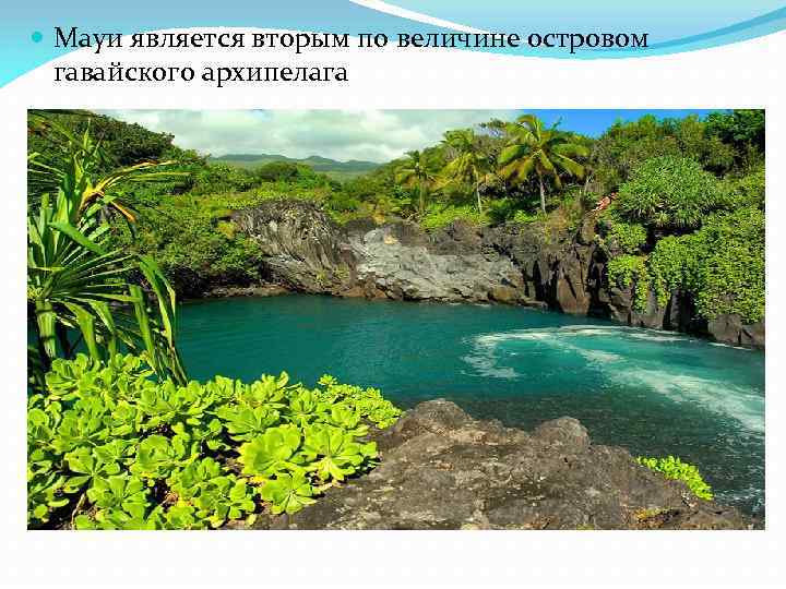  Мауи является вторым по величине островом гавайского архипелага 