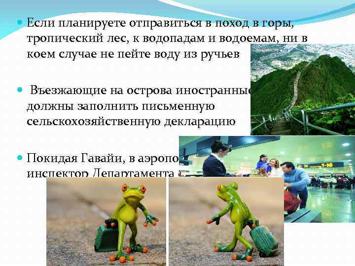  Если планируете отправиться в поход в горы, тропический лес, к водопадам и водоемам,