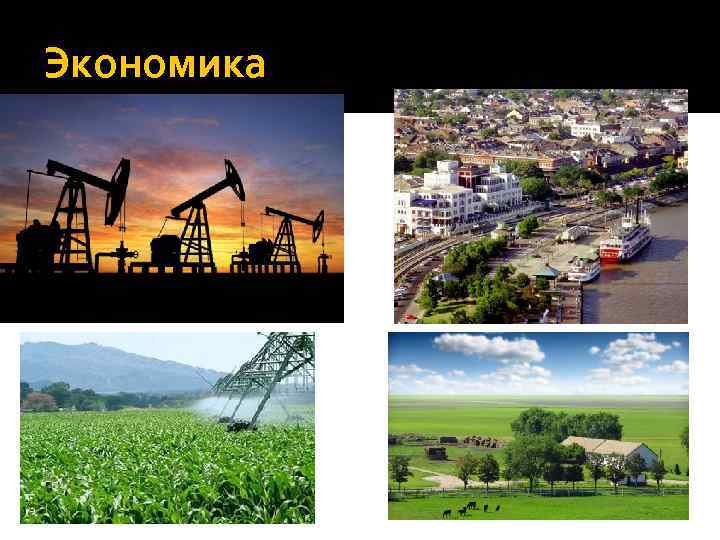 Экономика 