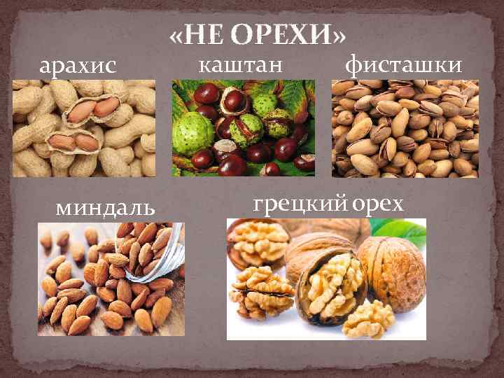 Презентация на тему миндаль