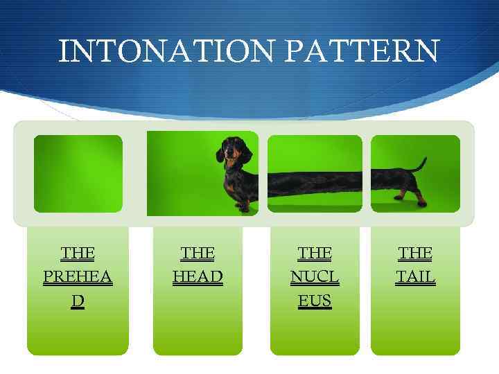 INTONATION PATTERN THE PREHEA D THE HEAD THE NUCL EUS THE TAIL 