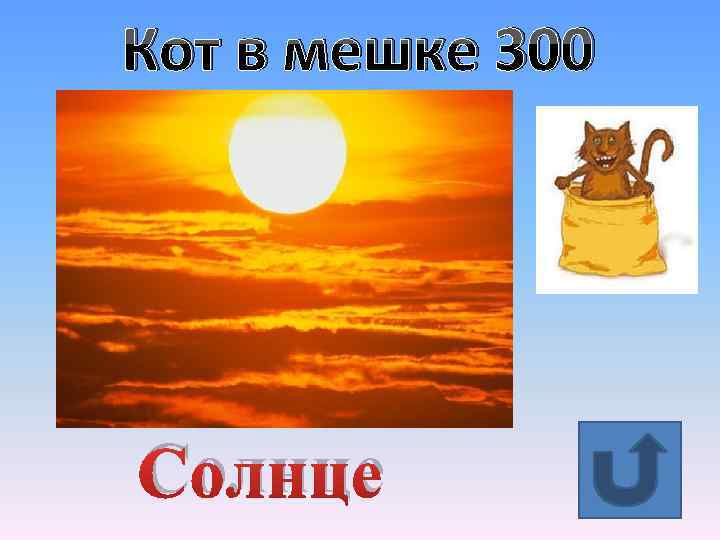 Кот в мешке 300 Солнце 