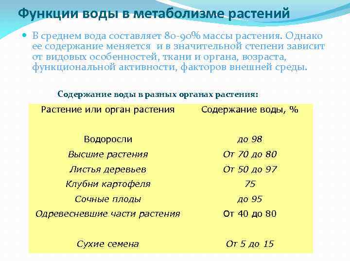 Функции воды в метаболизме растений В среднем вода составляет 80 -90% массы растения. Однако