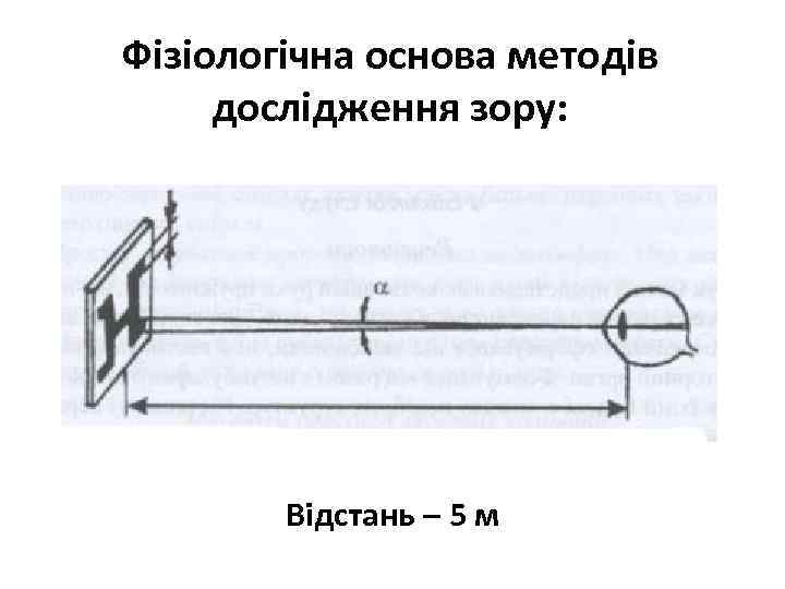 Фізіологічна основа методів дослідження зору: Відстань – 5 м 