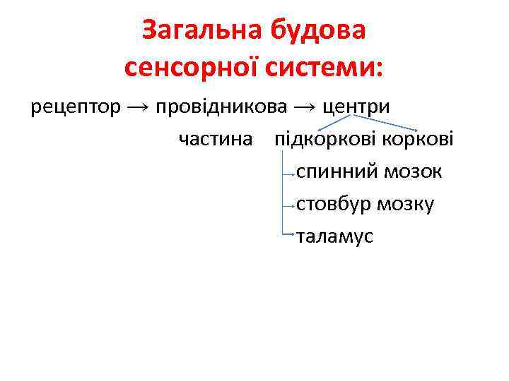 Загальна будова сенсорної системи: рецептор → провідникова → центри частина підкоркові спинний мозок стовбур