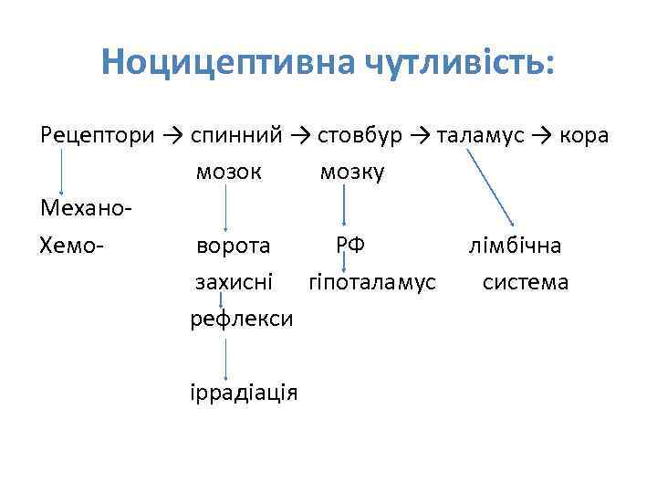 Ноцицептивна чутливість: Рецептори → спинний → стовбур → таламус → кора мозок мозку Механо.