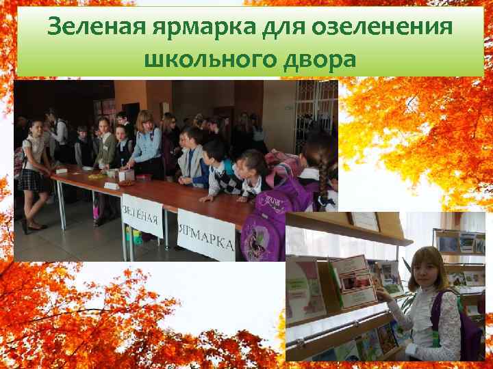 Зеленая ярмарка для озеленения школьного двора 