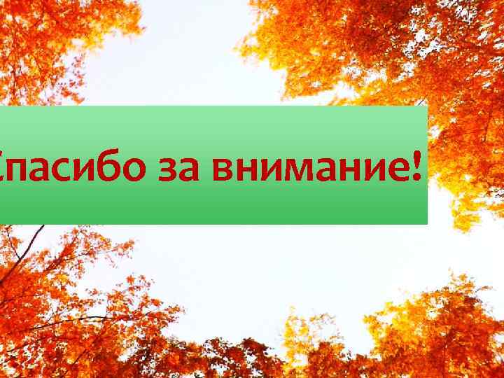 Спасибо за внимание! 