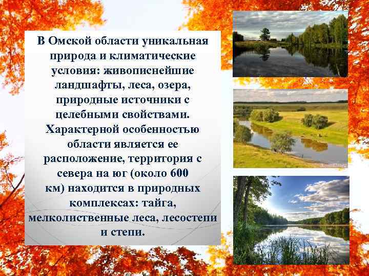 В Омской области уникальная природа и климатические условия: живописнейшие ландшафты, леса, озера, природные источники