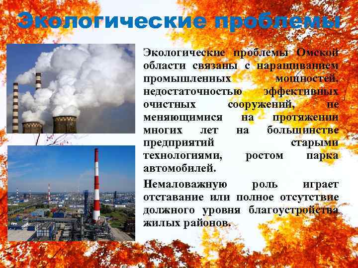 Экологические проблемы Омской области связаны с наращиванием промышленных мощностей, недостаточностью эффективных очистных сооружений, не