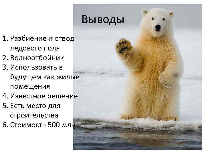 Выводы 1. Разбиение и отвод ледового поля 2. Волноотбойник 3. Использовать в будущем как