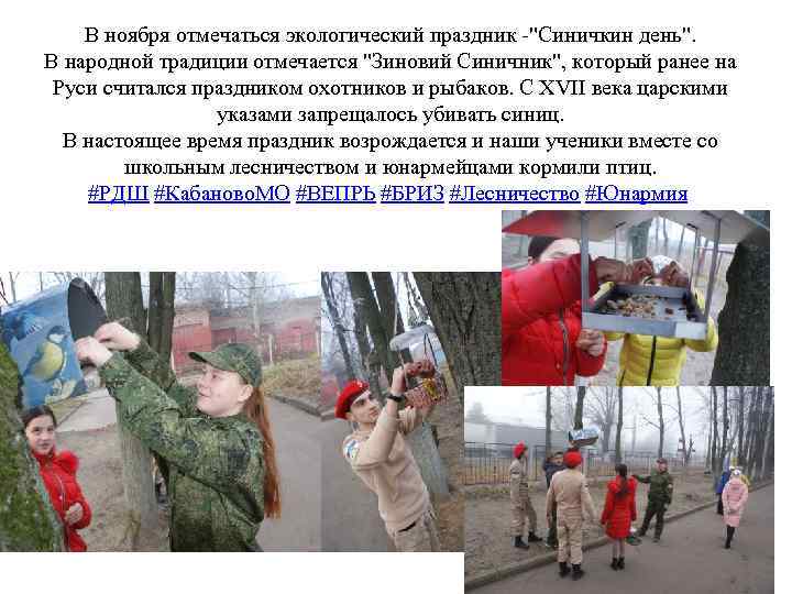 В ноября отмечаться экологический праздник -"Синичкин день". В народной традиции отмечается "Зиновий Синичник", который