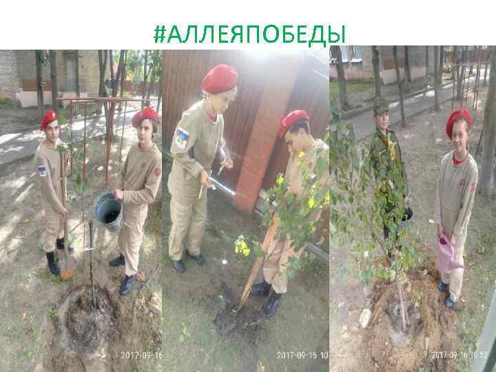 #АЛЛЕЯПОБЕДЫ 