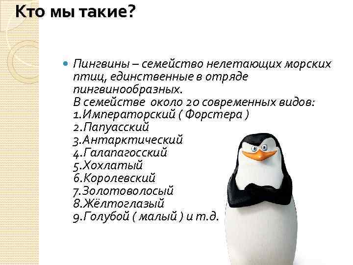 Кто мы такие? Пингвины – семейство нелетающих морских птиц, единственные в отряде пингвинообразных. В