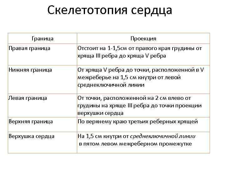 Границы сердца. Топография сердца скелетотопия. Скелетотопия клапанов сердца. Сердце голотопия скелетотопия синтопия. Скелетотопия сердца анатомия.