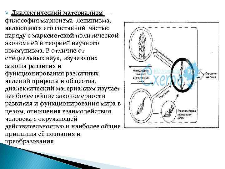 Диалектический материализм познание