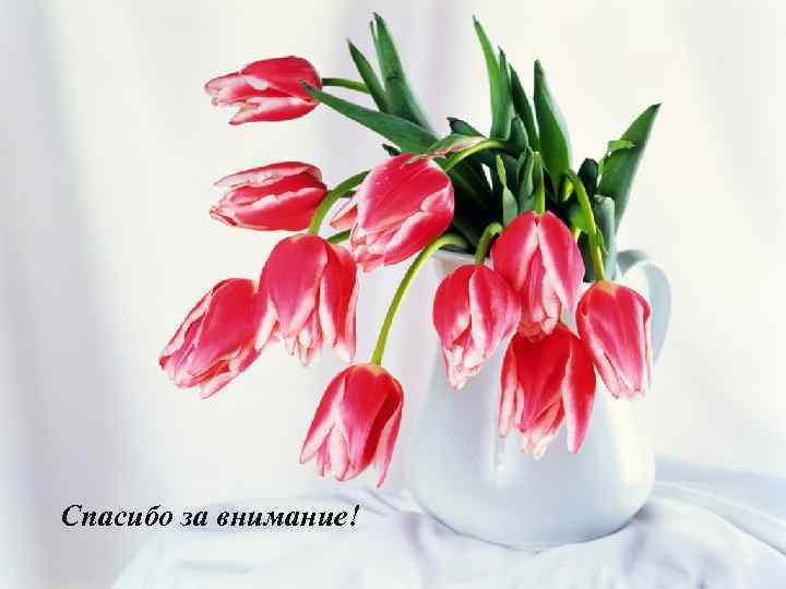 Спасибо за внимание! 35 