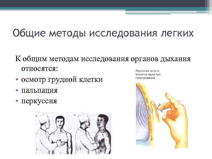 Общие методы исследования легких К общим методам исследования органов дыхания относятся: • осмотр грудной