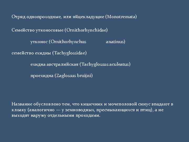 Отряд однопроходные, или яйцекладущие (Monotremata) Семейство утконосовые (Ornithorhynchidae) утконос (Ornithorhynchus anatinus) семейство ехидны (Tachyglossidae)