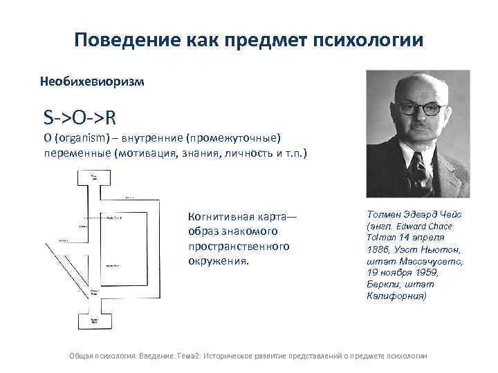 Когнитивная карта толмена