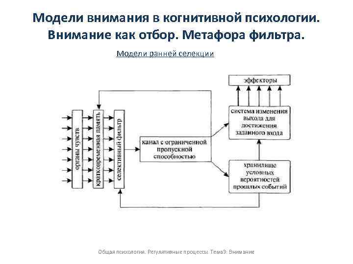 Модели внимания в когнитивной психологии. Внимание как отбор. Метафора фильтра. Модели ранней селекции Общая