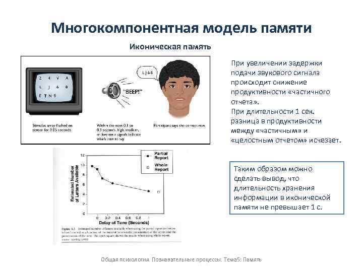 Многокомпонентная модель памяти Иконическая память При увеличении задержки подачи звукового сигнала происходит снижение продуктивности