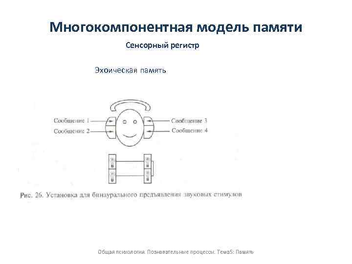 Многокомпонентная модель памяти Сенсорный регистр Эхоическая память Общая психология. Познавательные процессы. Тема 5: Память