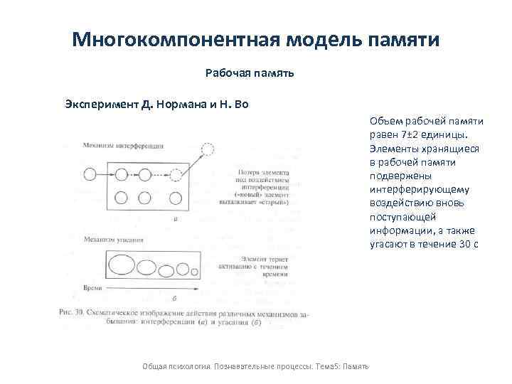 Многокомпонентная модель памяти Рабочая память Эксперимент Д. Нормана и Н. Во Объем рабочей памяти