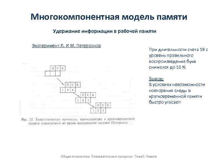 Рабочая память. Многокомпонентная модель памяти. Удержание информации в памяти. Процесс удержания в памяти.