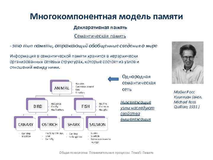 Многокомпонентная модель памяти Декларативная память Семантическая память - это тип памяти, отражающий обобщенные сведения