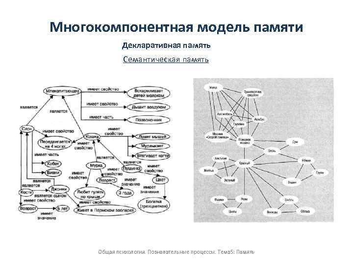 Память как познавательный психический процесс интеллект карта