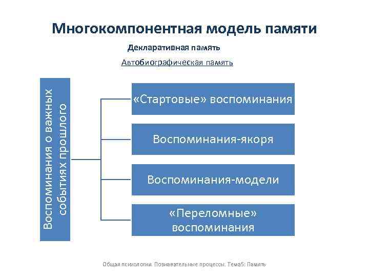 Модели памяти