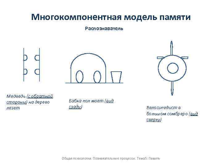 Многокомпонентная модель памяти Распознаватель Медведь (с обратной стороны) на дерево лезет Бабка пол моет