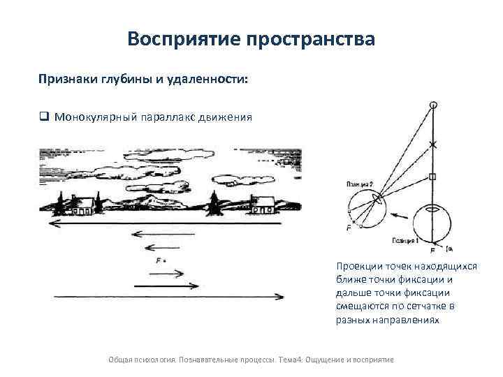 Глубина расстояние. Монокулярные признаки восприятия глубины пространства. Монокулярный признак удаленности и глубины. Монокулярный параллакс движения. Восприятие глубины пространства.