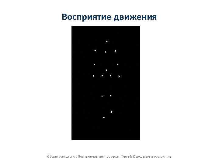 Восприятие движения. Восприятие движения в психологии. Восприятие движения в психологии примеры. Теории восприятия движения в психологии. Ощущения восприятия движений.